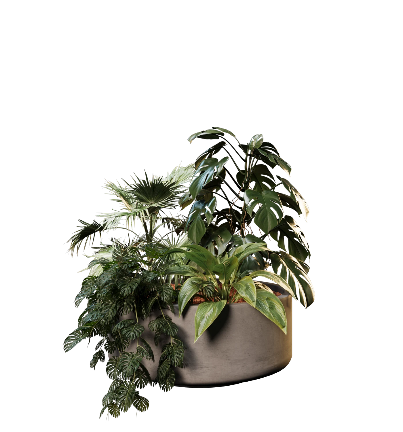 Composition botanique EasyPlantes