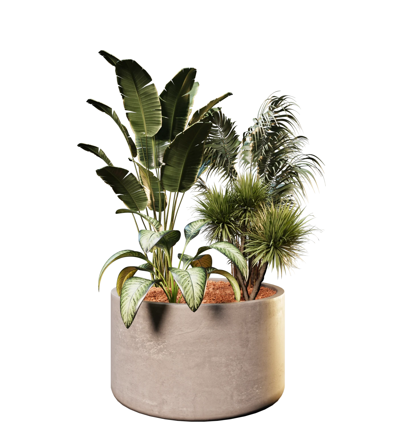 Collection Natura